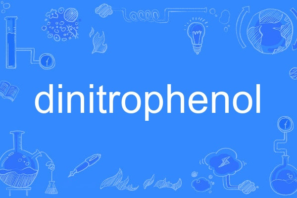 dinitrophenol dinitrophenol