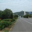 香山村(江蘇蘇州市吳中區香山街道下轄村) 香山村(江蘇蘇州市吳中區香山街道下轄村)