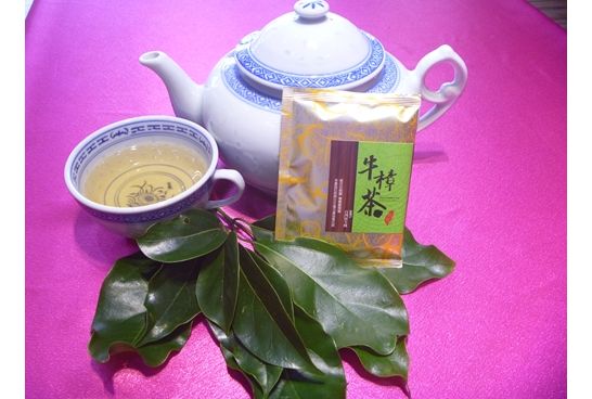 牛樟茶 牛樟茶