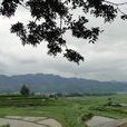 王嶺村(貴州榕江縣下轄村) 王嶺村(貴州榕江縣下轄村)