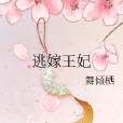 逃嫁王妃 逃嫁王妃