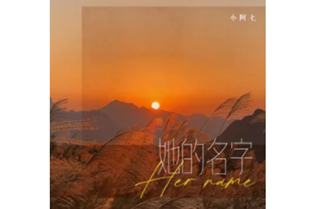 她的名字(小阿七演唱歌曲) 她的名字(小阿七演唱歌曲)