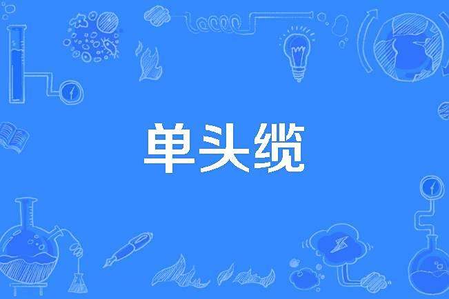 單頭纜 單頭纜