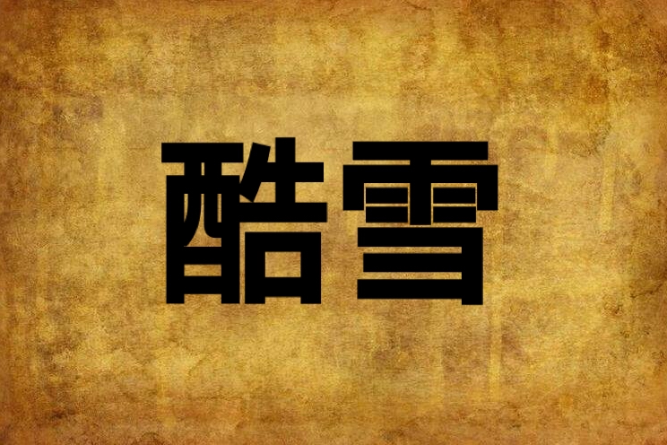 酷雪(言情小說)