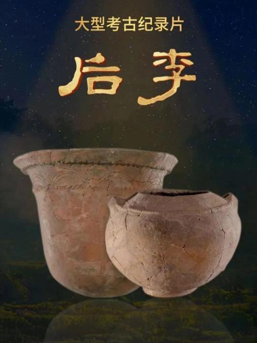 後李(山東廣播電視台製作的紀錄片) 後李(山東廣播電視台製作的紀錄片)