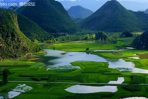 法寶箐村 法寶箐村