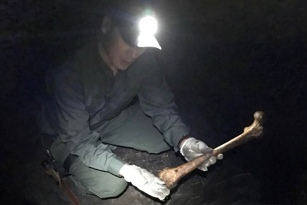 陵西散人 陵西散人