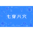 七穿八穴 七穿八穴