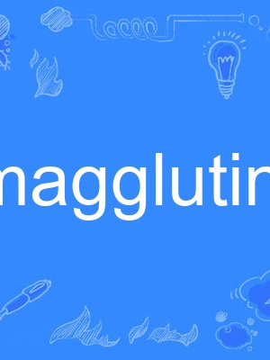 hemagglutinate hemagglutinate