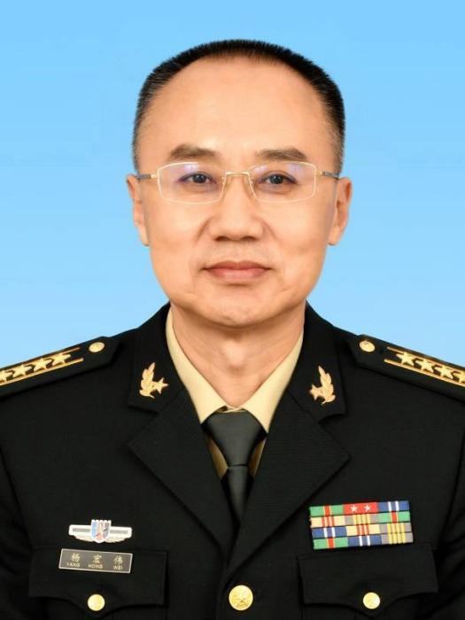 楊宏偉(中共廣東省肇慶市第十三屆委員會常務委員會委員) 楊宏偉(中共廣東省肇慶市第十三屆委員會常務委員會委員)