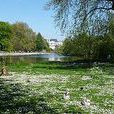 聖詹姆士公園 聖詹姆士公園