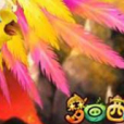 夢回西遊OL 夢回西遊OL