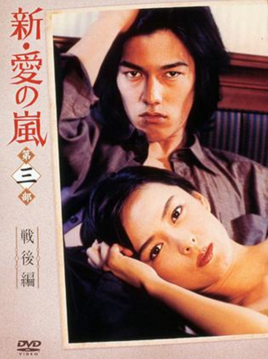 愛的風暴(2002年日本金子與志一等執導電視劇)