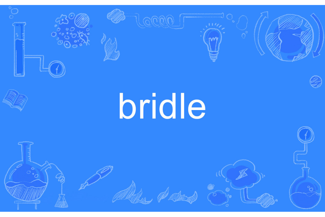 bridle