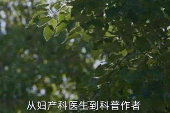 六個TA 六個TA