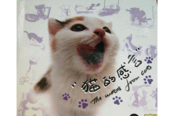 貓的感言 貓的感言