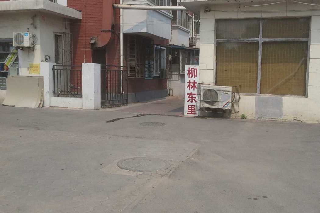 柳林東里 柳林東里