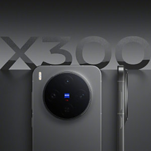 vivo X300