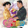 緣份無邊界(1999年林保怡主演的電視劇) 緣份無邊界(1999年林保怡主演的電視劇)