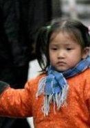 春草(2008年鄭曉龍執導現實題材電視劇)