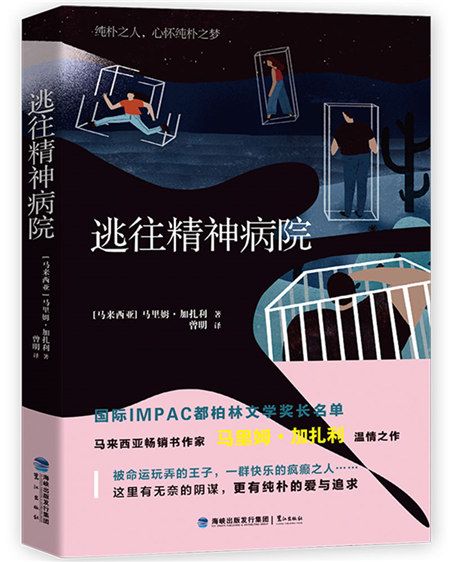 逃往精神病院 逃往精神病院