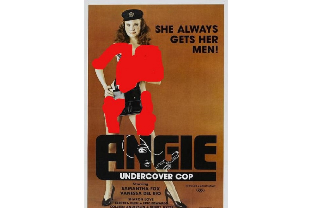 臥底女警(1979年美國電影) 臥底女警(1979年美國電影)