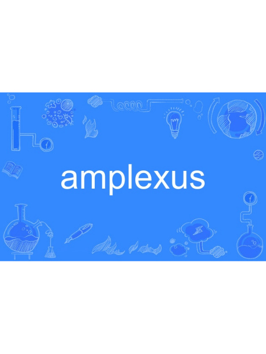 amplexus amplexus
