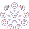 胺基酸模式 胺基酸模式