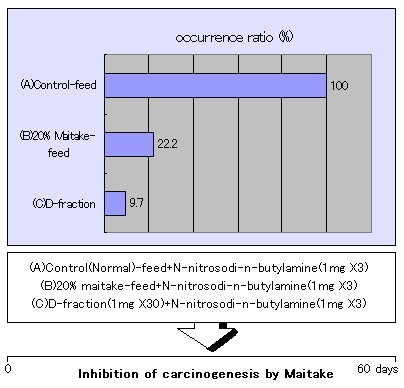 Maitake Component(灰樹花多糖)