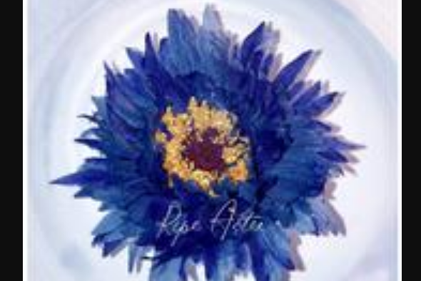 Ripe Aster(八木海莉演唱歌曲) Ripe Aster(八木海莉演唱歌曲)