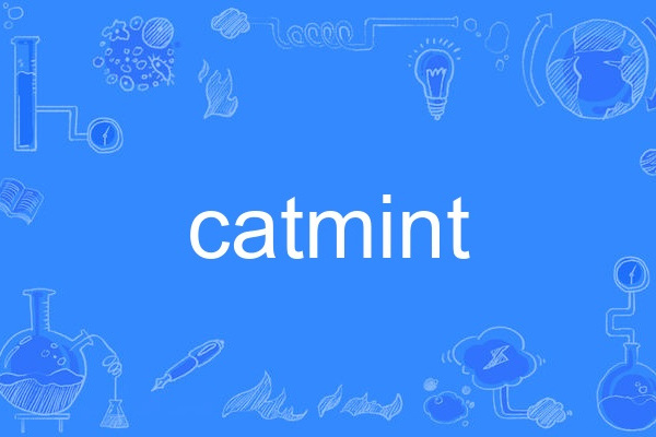 catmint catmint