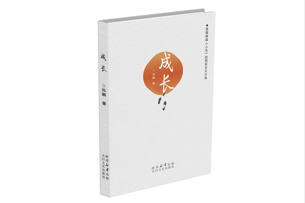 成長(孫鵬創作的長篇小說)