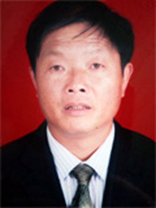 金則先 金則先