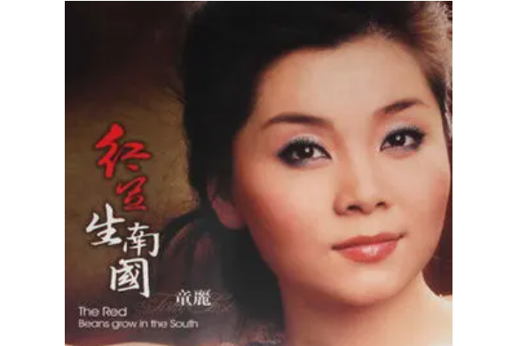 紅顏淚(童麗演唱的歌曲)