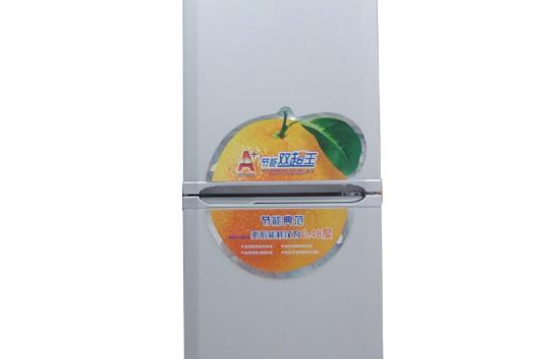 小天鵝BCD-167M 小天鵝BCD-167M