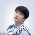 張新成(中國內地影視男演員、流行樂歌手) 張新成(中國內地影視男演員、流行樂歌手)