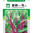 紫婷一號(紫婷1號) 紫婷一號(紫婷1號)
