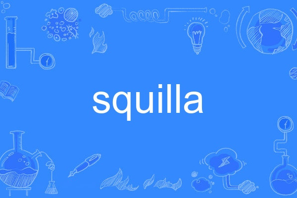 squilla squilla