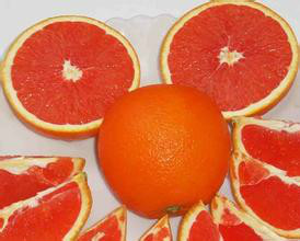 紅肉橙果