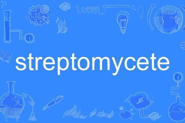 streptomycete streptomycete