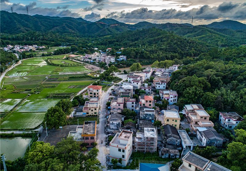 陂角頭村 陂角頭村
