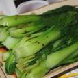 白灼小棠菜 白灼小棠菜