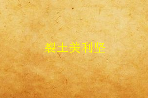 裂土美利堅 裂土美利堅