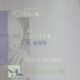 小說面面觀 小說面面觀