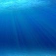 海水pH值