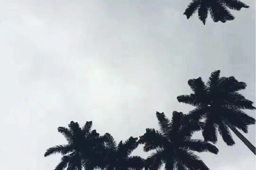 漫不經心(弎嘉貳的音樂專輯) 漫不經心(弎嘉貳的音樂專輯)