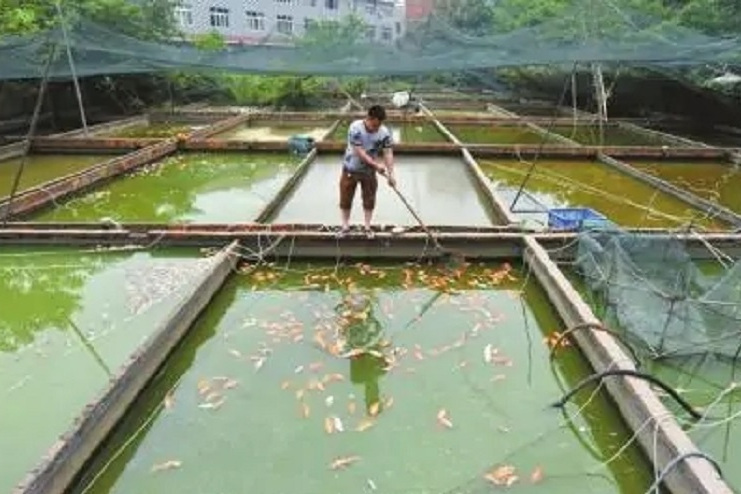 李業松 李業松