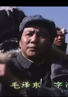 大決戰之遼瀋戰役(大決戰（1991年李俊、楊光遠等執導歷史戰爭電影）)