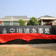 永寧街道(永寧鎮（南京市浦口區永寧鎮）)