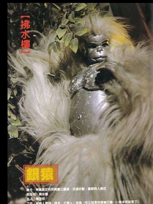銀猿(霹靂布袋戲中的角色) 銀猿(霹靂布袋戲中的角色)